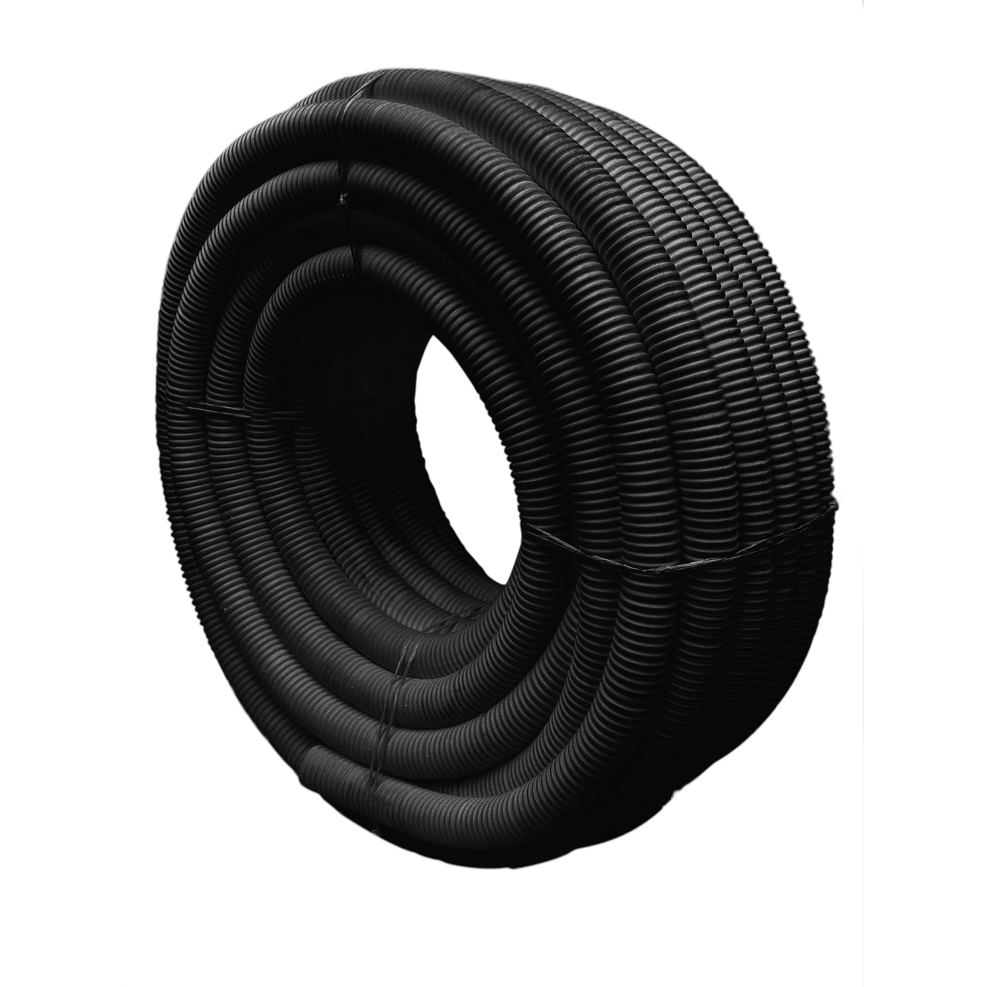 Coraza-Negra-Rollo-AyG-2022