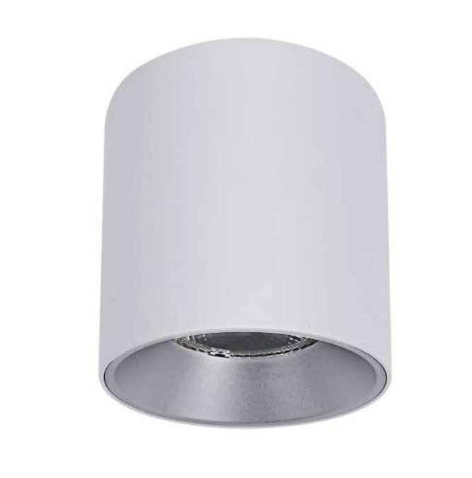DOWNLIGHT PROF SURFACE